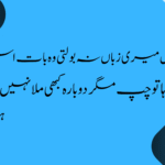 کاش میری زباں نہ بولتی وہ بات اس دن